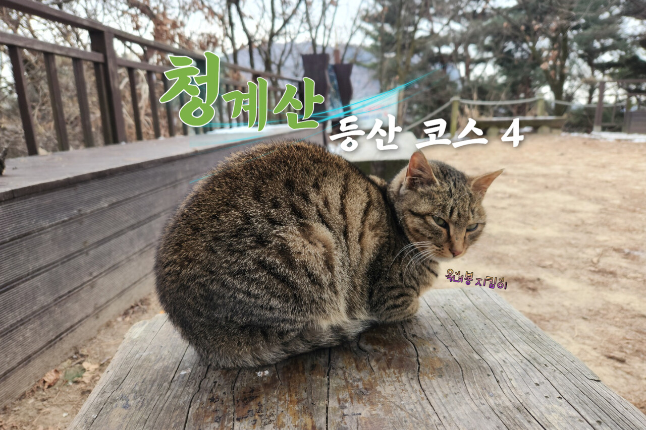 청계산 등산 코스 / 직접촬영