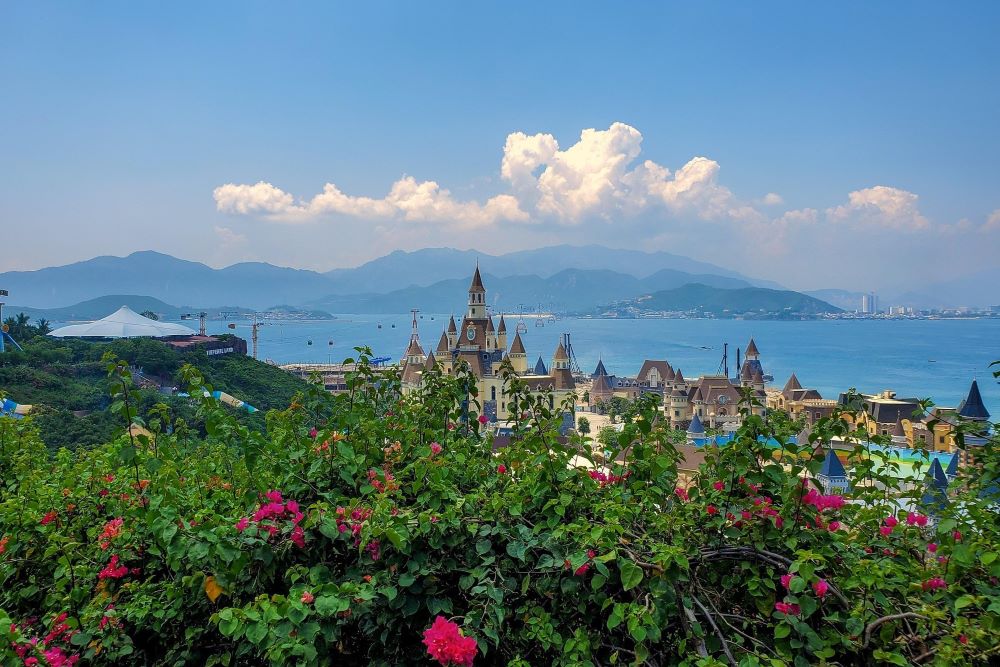 빈 원더스 냐짱 / 사진=pixabay@adrian2019