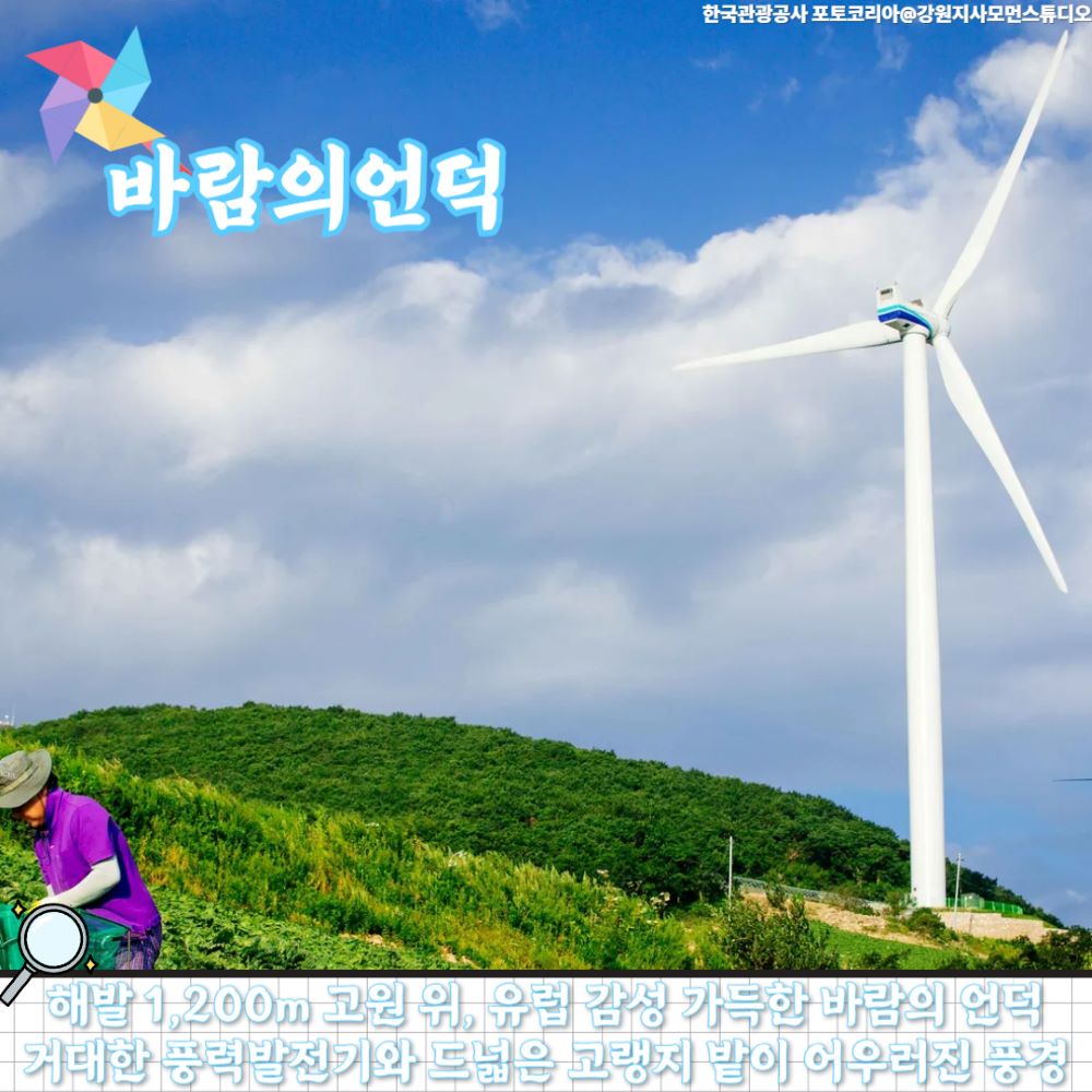 바람의언덕 / 사진