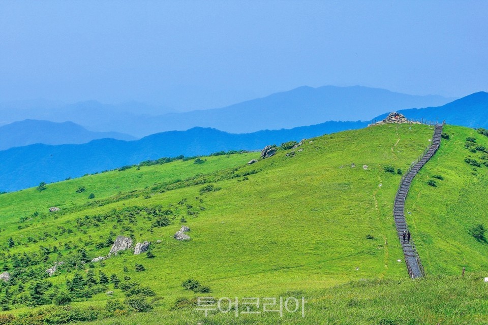 소백산/사진-산림청