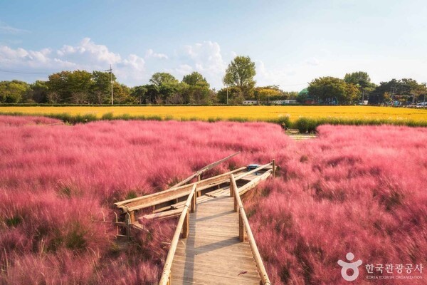 바람새마을 (ⓒ한국관광공사 포토코리아-정규진)