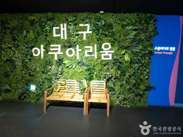 대구아쿠아리움 (ⓒ한국관광공사 포토코리아-앙지뉴 필름)