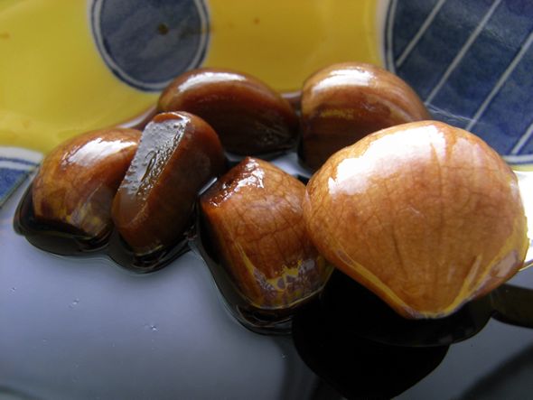yugeta
