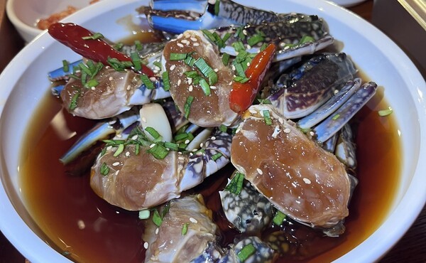 umeda.alcocca