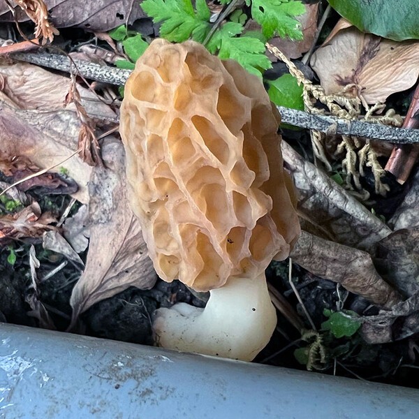 온라인 커뮤니티