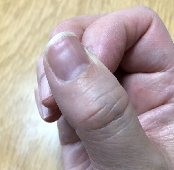 온라인 커뮤니티