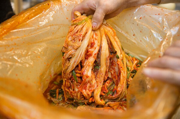 온라인 커뮤니티