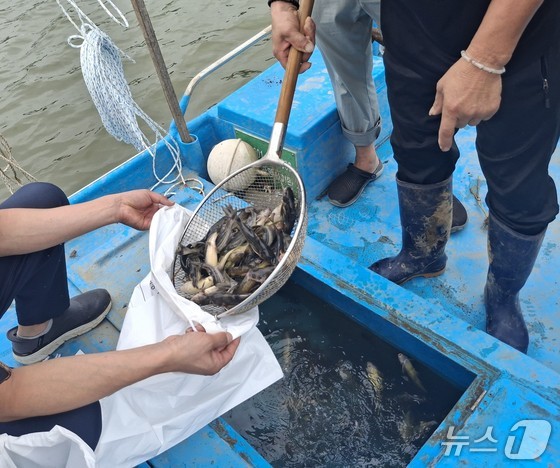 Seafood from border areas / Photo courtesy of Gyeonggi Province