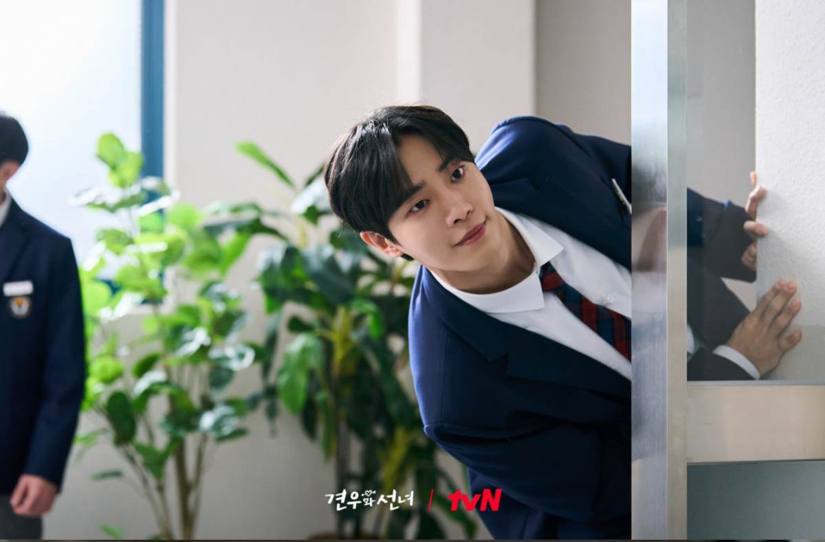 引用:tvN