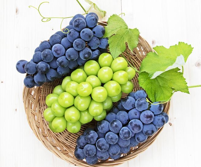 引用：shutterstock.com