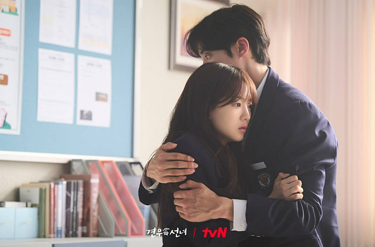 引用:tvN