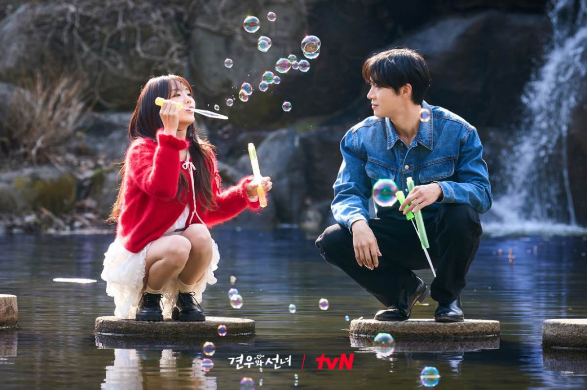 引用:tvN