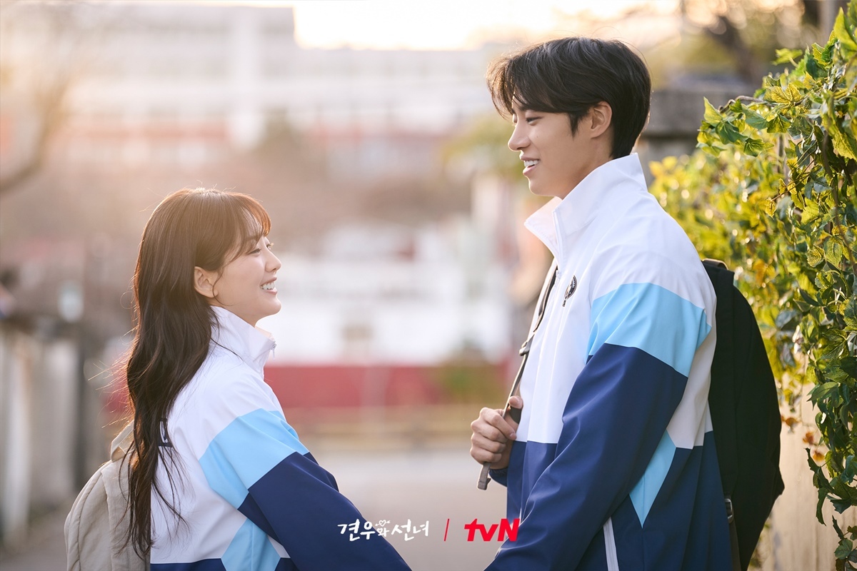 引用：tvN