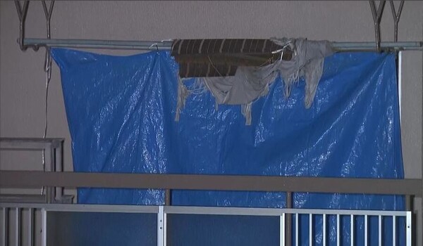 引用: ニューシス