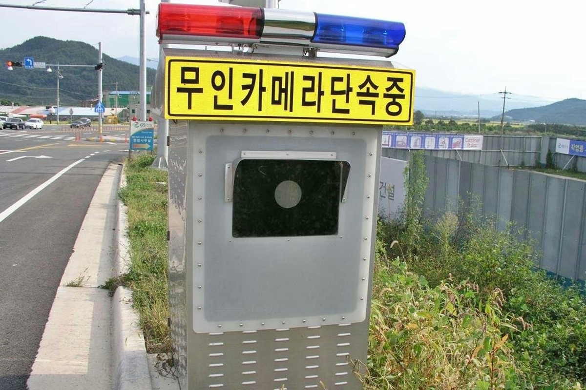 신호위반-벌점
