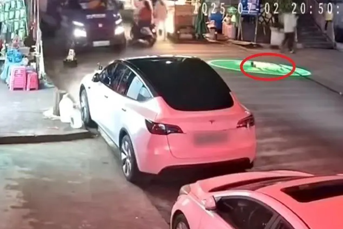 사진 출처 = 웨이보