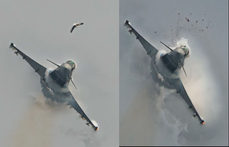 引用:instagram@Air_spotter7200