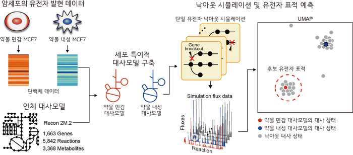 그림 1. 약물 민감화 유전자 표적을 예측하는 대사 네트워크 모델 기반 방법론 모식도. ⓒ한국과학기술원