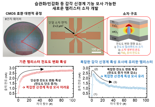 감각 신경계의 습관화 및 민감화 기능 모사가 가능한 새로운 멤리스터 소자의 실물 모습과 설명도. ⓒ한국과학기술원