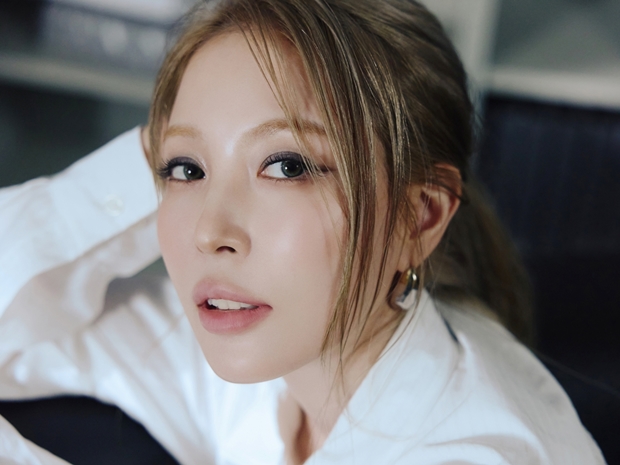 티브이데일리 포토