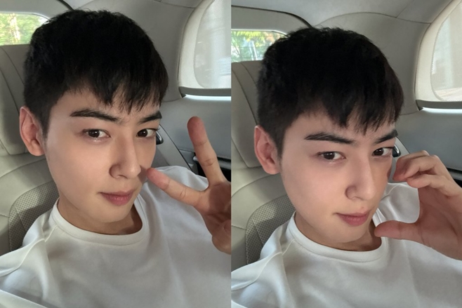 차은우