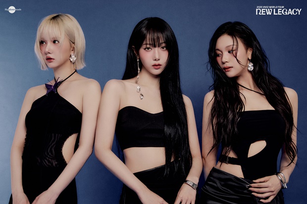 비비지