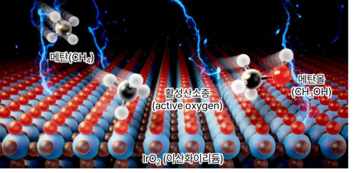 전기화학적 상온 메탄-메탄올 전환 개념도. (문준혁 교수 제공)