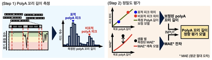 연구 개요도