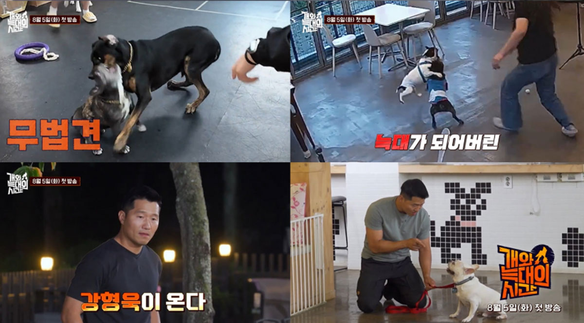 출처 : 채널A '개와 늑대의 시간'