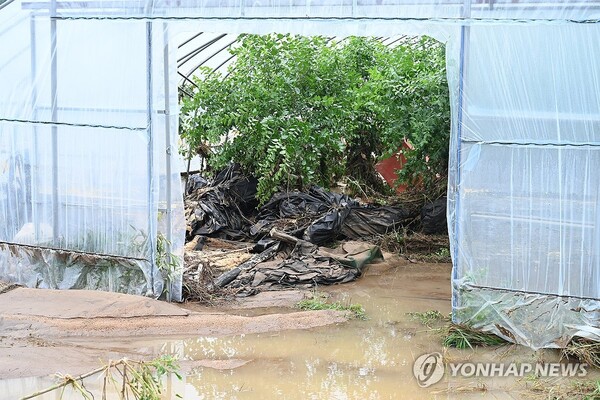 사진=연합뉴스
