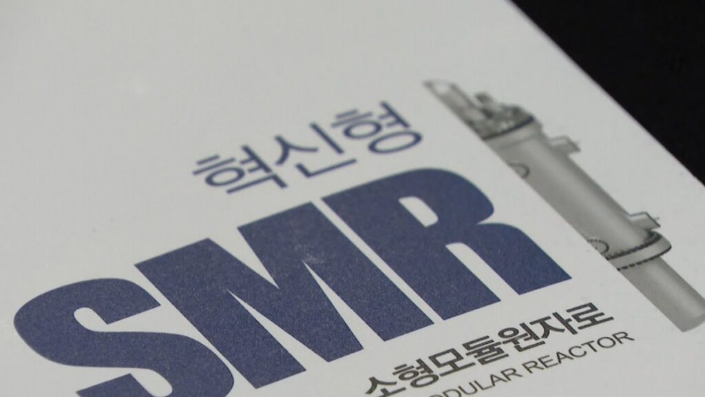전 세계 뛰어들었는데 smr