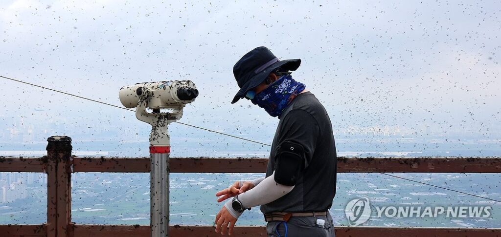 출산급여