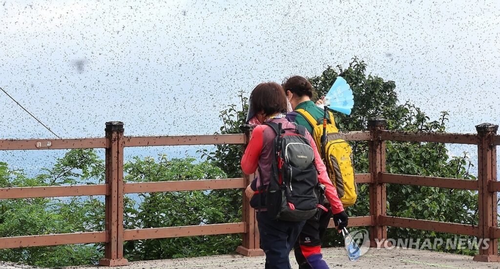 출산급여