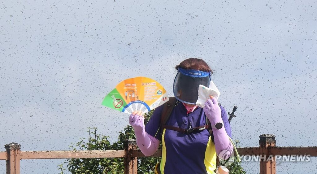 출산급여