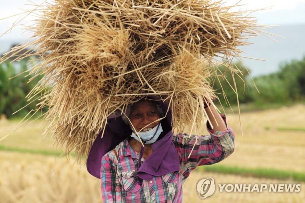 출산급여