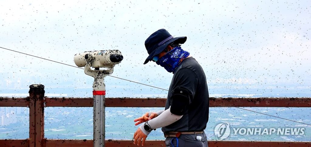 출산급여