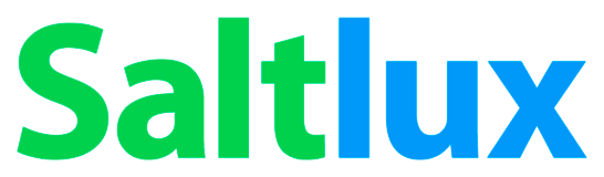 사진제공: 솔트룩스