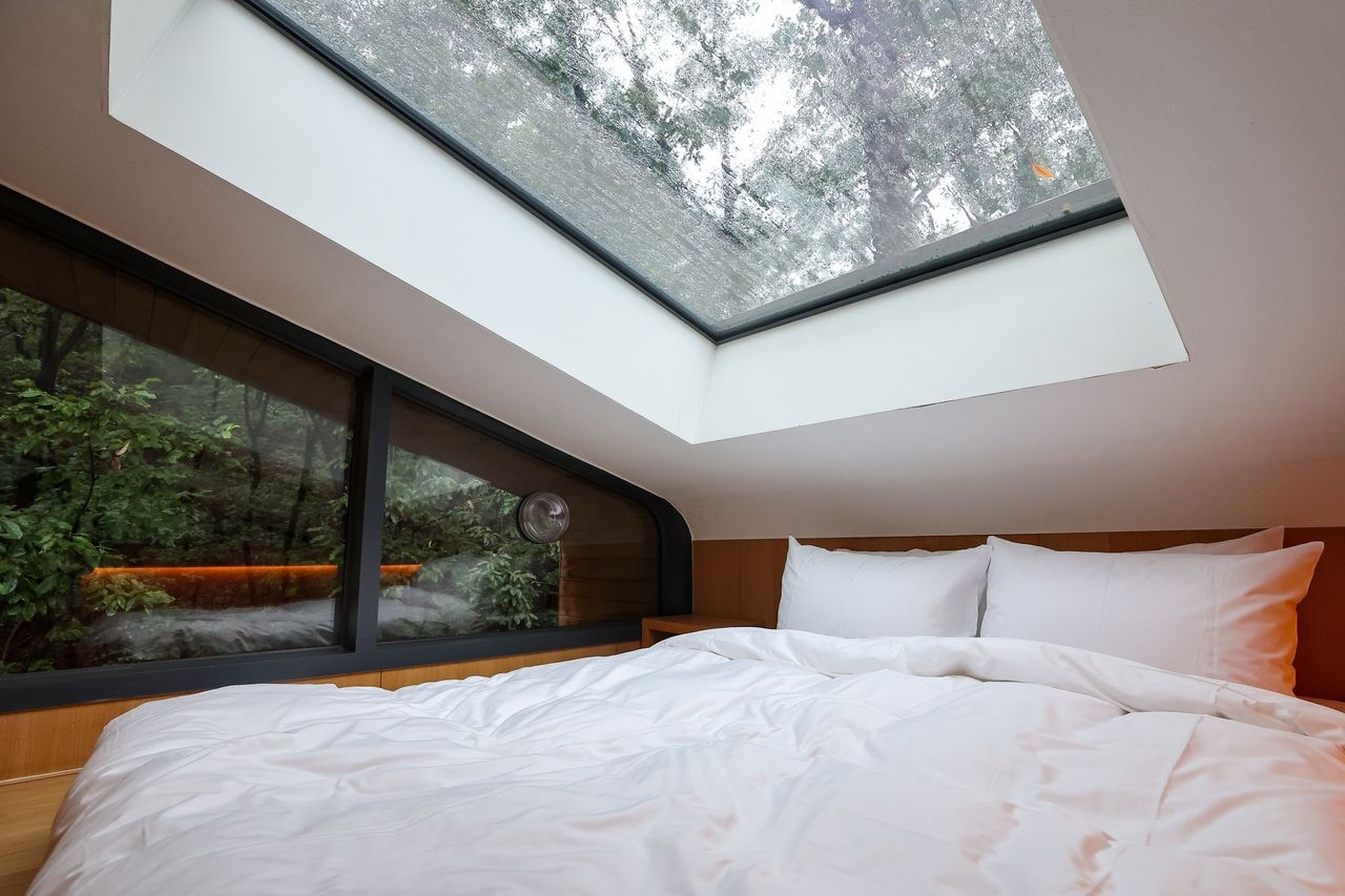 A treehouse suite at Surak Hue features a glass ceiling for stargazing and panoramic views of the surrounding forest canopy. (Nowon-gu Office)