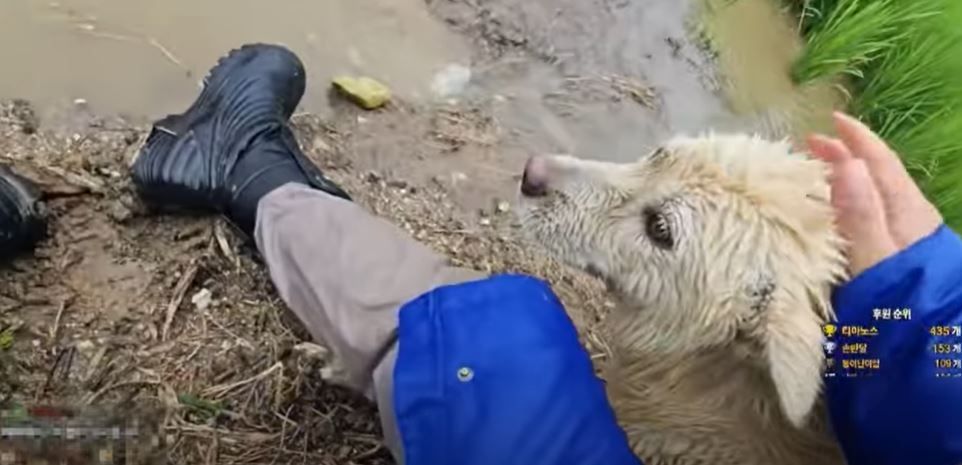 This screen capture of a YouTube video posted on Friday shows YouTuber Jo Seong-geun petting the dog he rescued from floods that swept through a rural town in Asan, South Chungcheong Province. (YouTube)