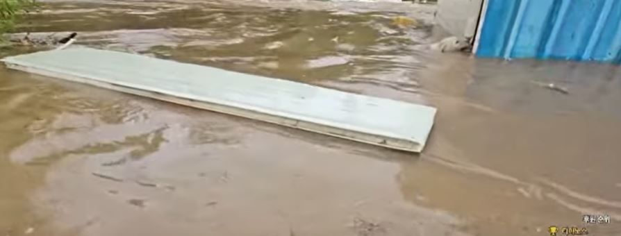 This screen capture of a YouTube video posted on Friday shows a dog tied to a makeshift building in a rural part of Asan, South Chungcheong Province, amid a flood caused by recent torrential rain. (YouTube)]