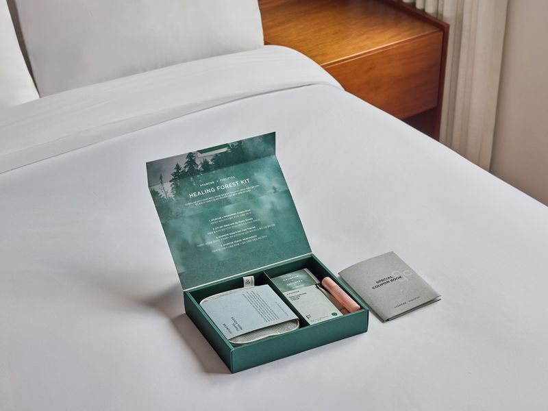 Paraspara Seoul X Ayunche travel kit (Paraspara Seoul)