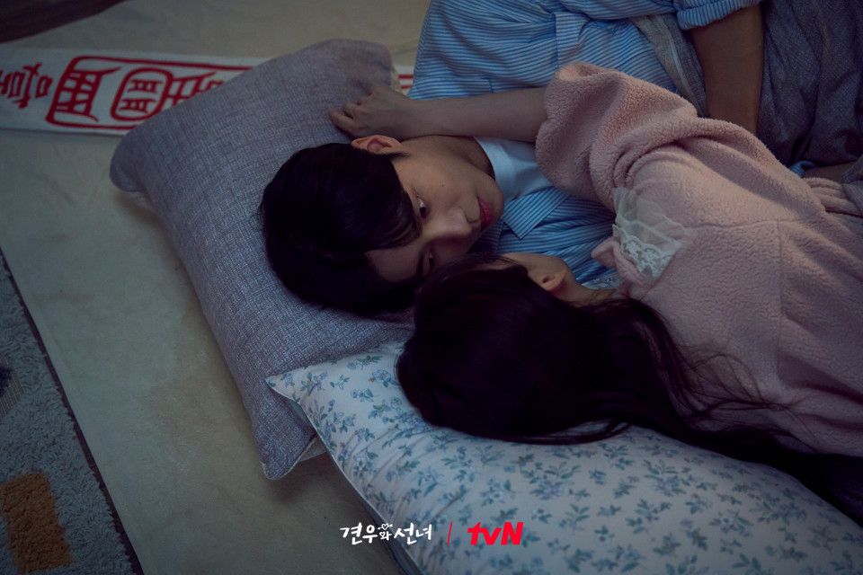 스틸컷