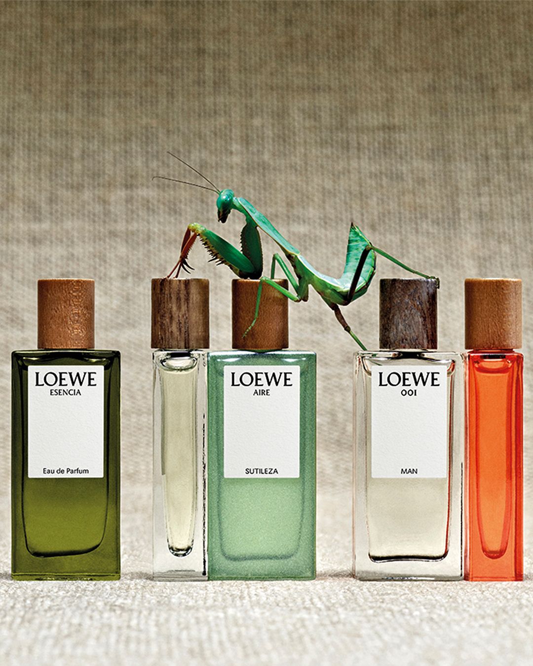 로에베 미니어처 세트, 7mlX5ea 14만2천원, Loewe.