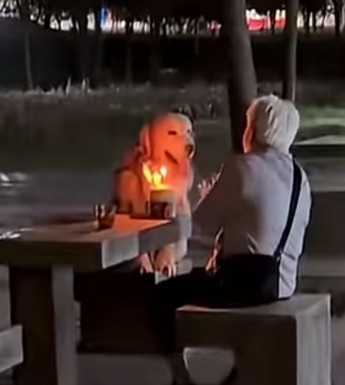 애니멀플래닛