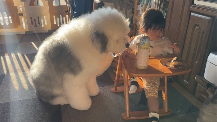 애니멀플래닛