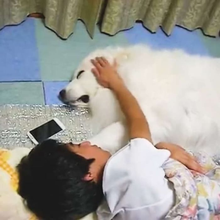 애니멀플래닛