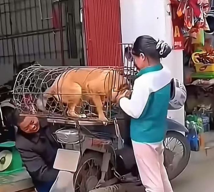 애니멀플래닛