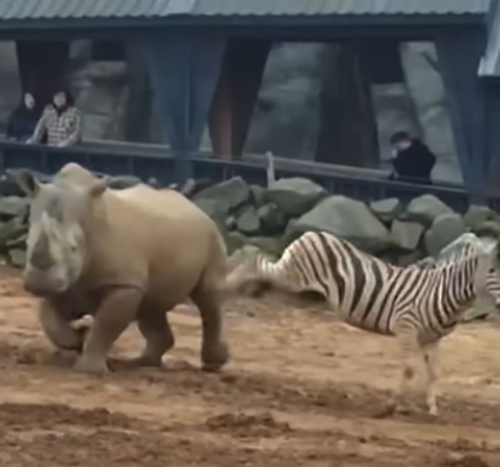 애니멀플래닛