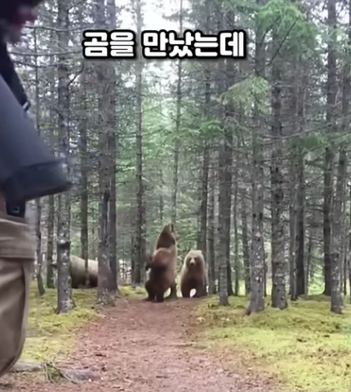 애니멀플래닛