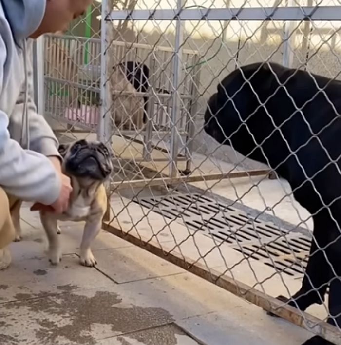 애니멀플래닛